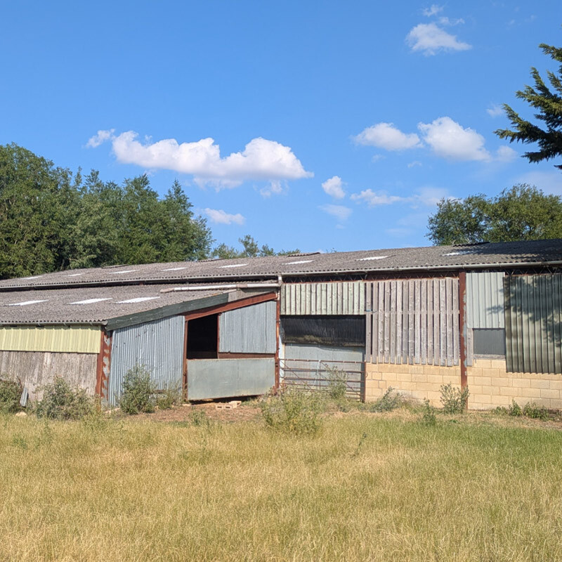Picture of the back of the bigger barn found on the farm, with grass in front of the barn